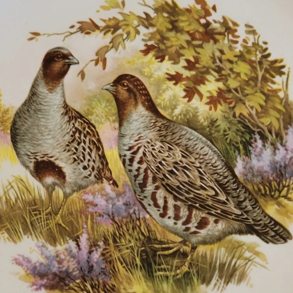 Vtg Weatherby Hanley England Royal Falcon Ware Partridge Collector Plate 9
